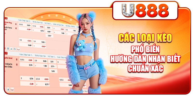 Các Loại Kèo Phổ Biến - Hướng Dẫn Nhận Biết Chuẩn Xác