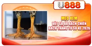 Mẹo Xem Vảy Gà Đá Bách Chiến Bách Thắng Từ Sư Kê 2026